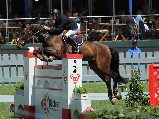 已然成為達 已然成為達