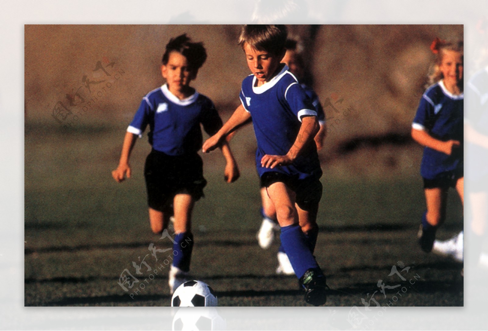 並充分發揮 並充分發揮