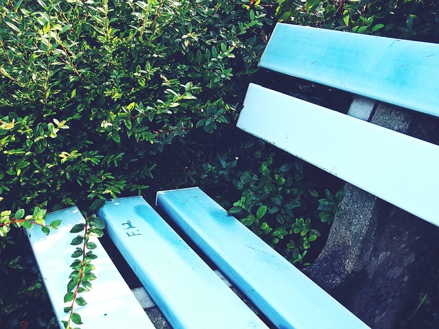 剂相关问题 剂相关问题